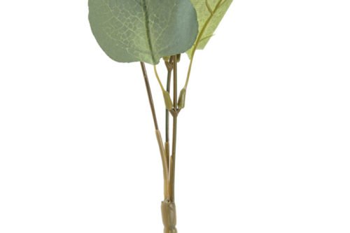 Rama verde