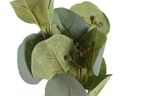 Rama verde