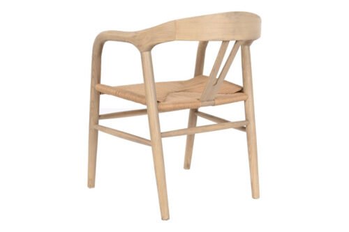 Silla olmo