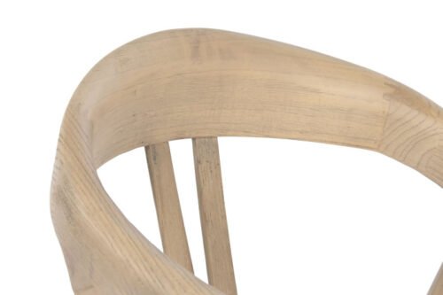 Silla olmo